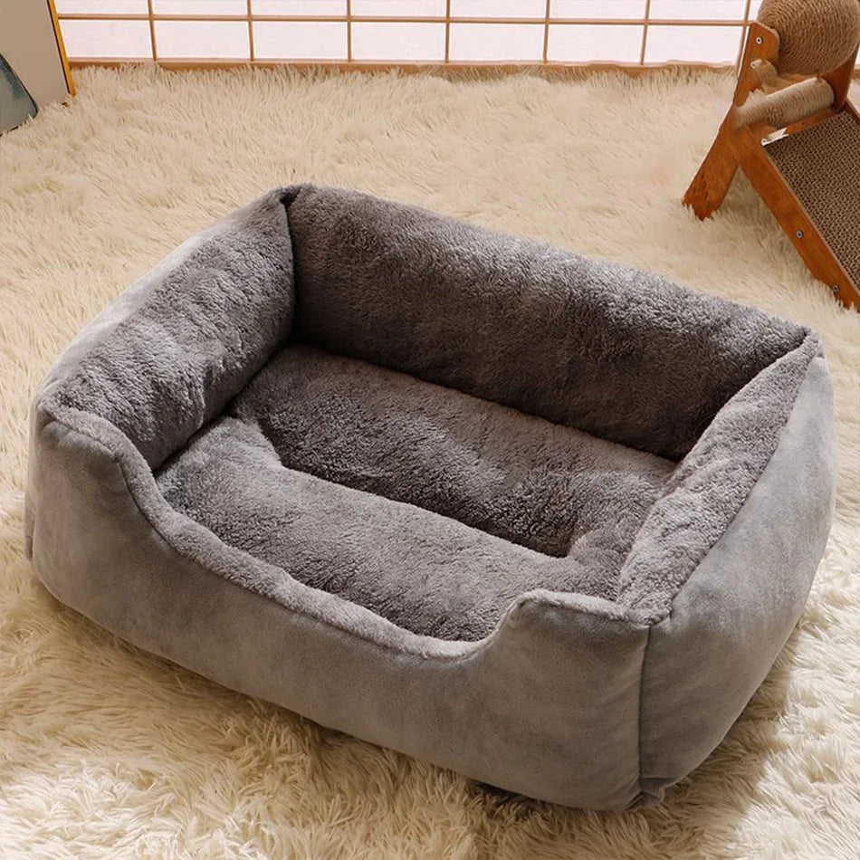 Pet relaxing in the Comfort bed